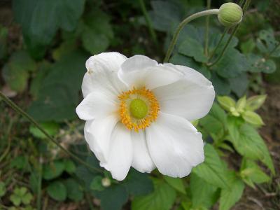 CIMG0814.JPG